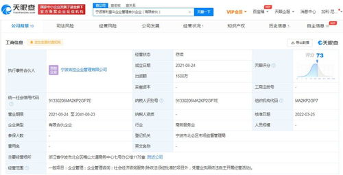 社會經濟咨詢服務的價值與應用