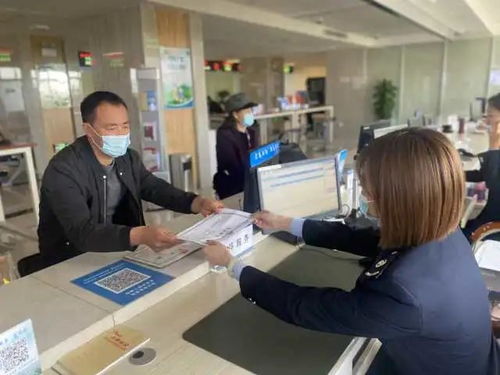 揚帆遠航正當時 賀蘭縣優化營商環境，賦能經濟高質量發展紀實