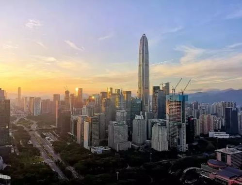 歌聲中的深圳 慶祝改革開放40周年，盤點40首“深圳之歌”（第三輯·社會經濟咨詢服務篇）